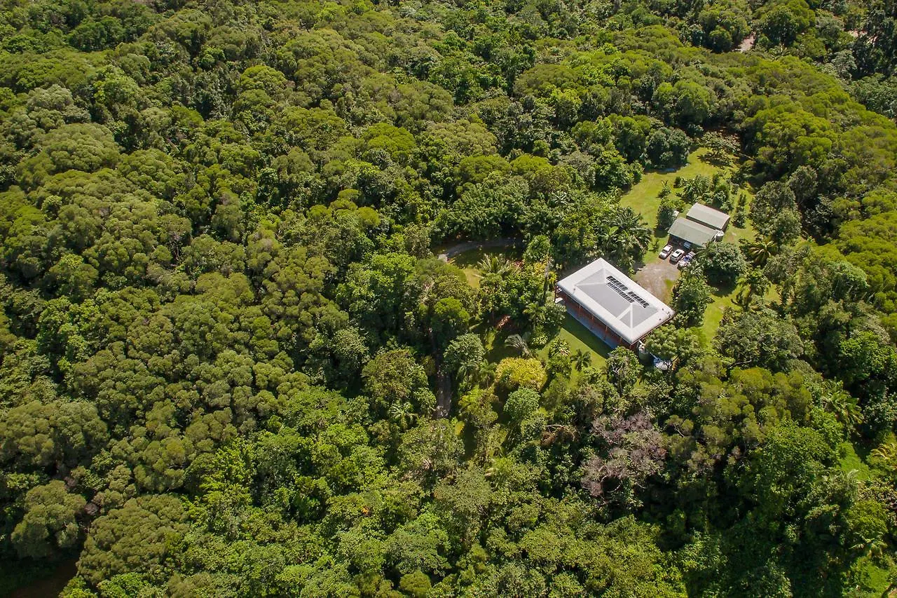 Daintree Manor B&B Alojamento de Acomodação e Pequeno-almoço