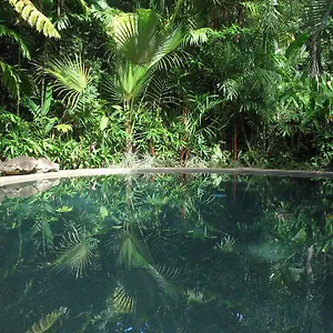 Lodge Rainforest Retreat, Daintree